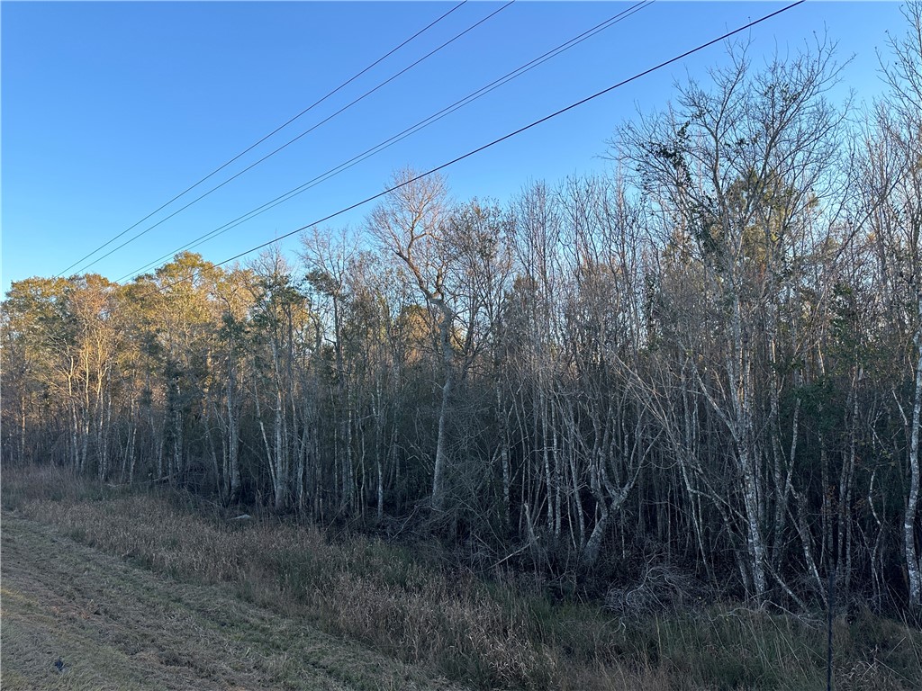 301 Broadhurst Road East Jesup, GA 31546 - Photo 28 of 39