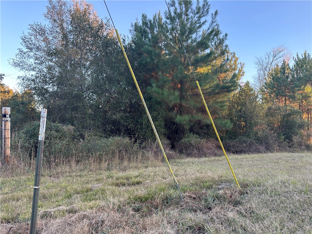 301 Broadhurst Road East Jesup, GA 31546 - Photo 30 of 39