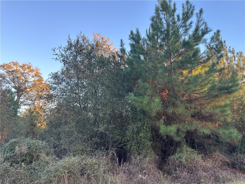 301 Broadhurst Road East Jesup, GA 31546 - Photo 31 of 39