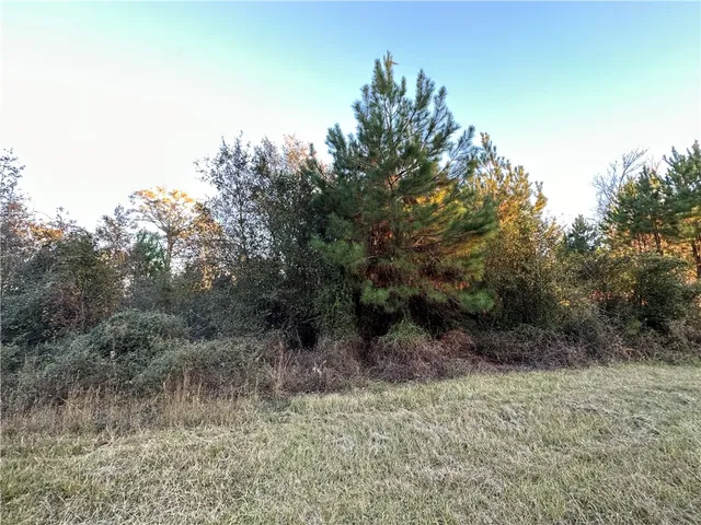 $220,000 | 301 Broadhurst Road East, Jesup, GA 31546