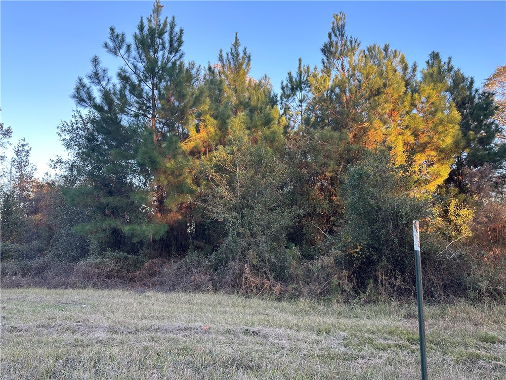 301 Broadhurst Road East Jesup, GA 31546 - Photo 33 of 39