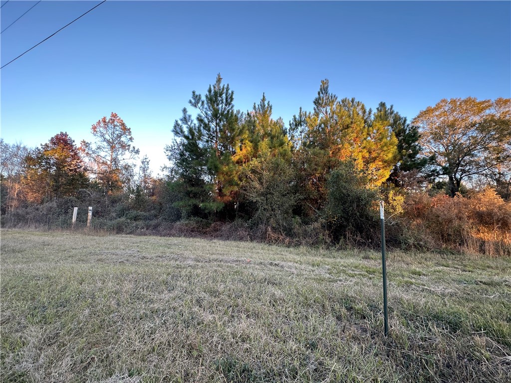 301 Broadhurst Road East Jesup, GA 31546 - Photo 34 of 39