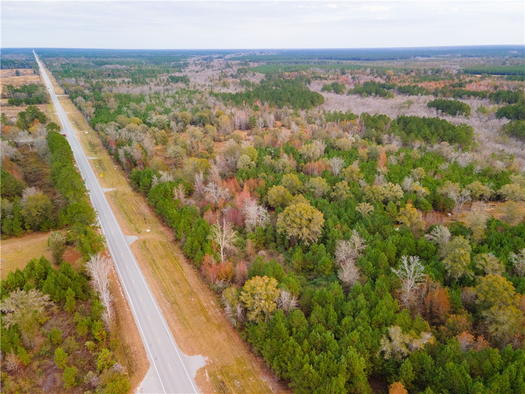 301 Broadhurst Road East Jesup, GA 31546 - Photo 6 of 39