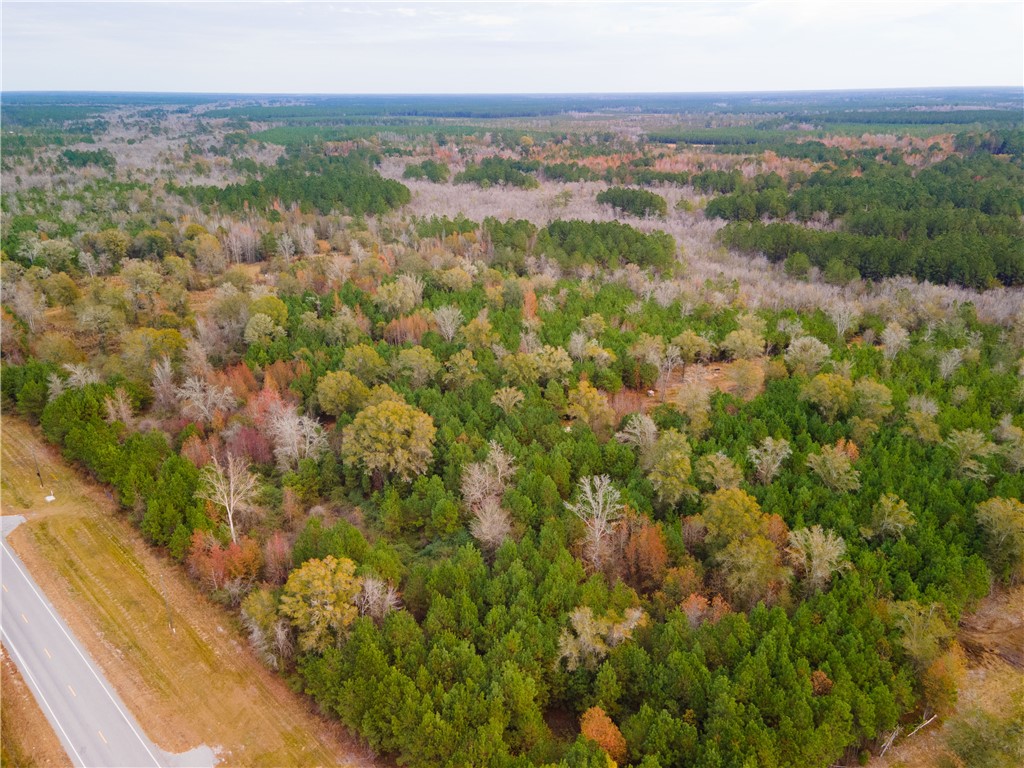 301 Broadhurst Road East Jesup, GA 31546 - Photo 7 of 39