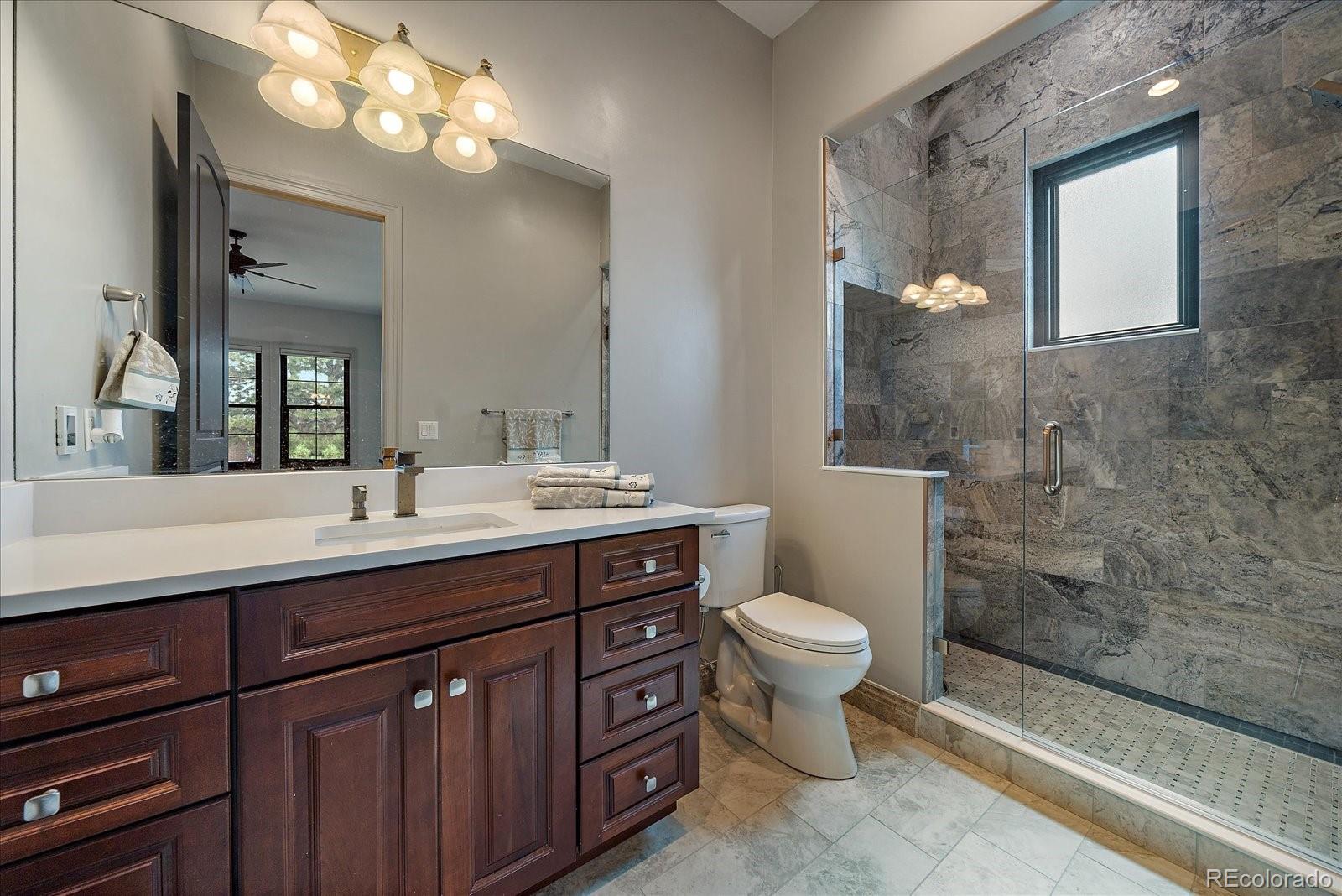 20132 East Shady Ridge Road Parker, CO 80134 - Photo 20 of 36 a bathroom with a sink a toilet and a mirror