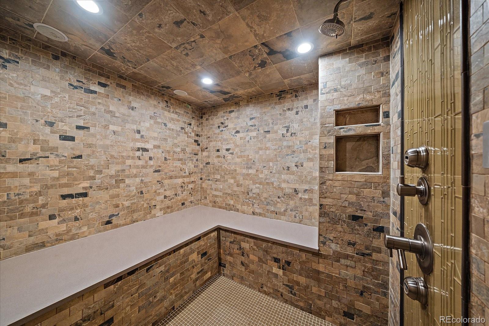 20132 East Shady Ridge Road Parker, CO 80134 - Photo 28 of 36 a bathroom with a shower