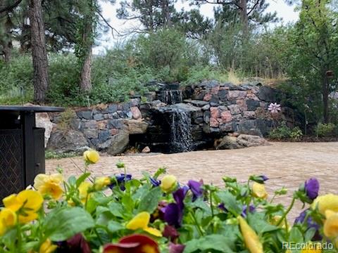 20132 East Shady Ridge Road Parker, CO 80134 - Photo 30 of 36 a street view with sitting space