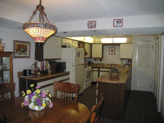 3820 West Shady Side Road Angola, IN 46703 - Photo 5 of 9 Gallery Image 5