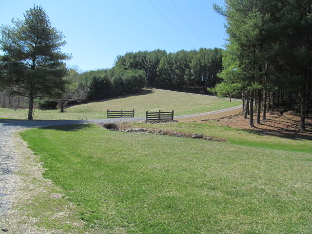 1442 Oak Ridge Road Buchanan, VA 24066 - Photo 14 of 32 Land.JPG