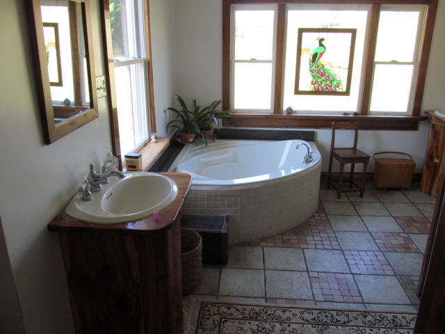 1442 Oak Ridge Road Buchanan, VA 24066 - Photo 22 of 32 Master Bath.JPG