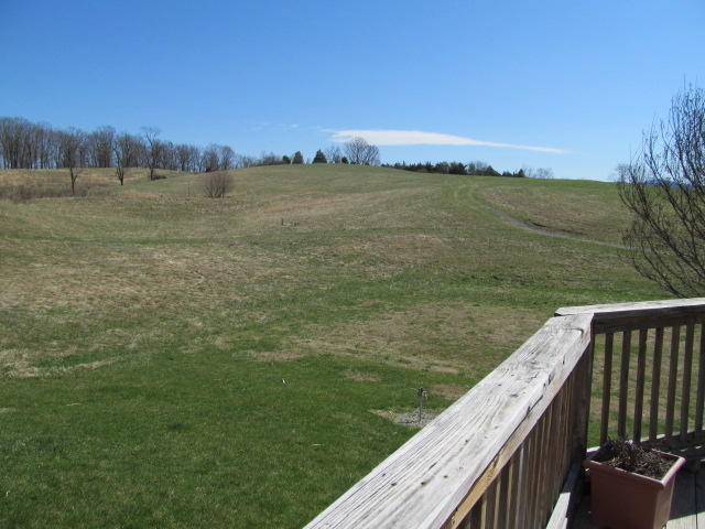 1442 Oak Ridge Road Buchanan, VA 24066 - Photo 7 of 32 Fields.JPG