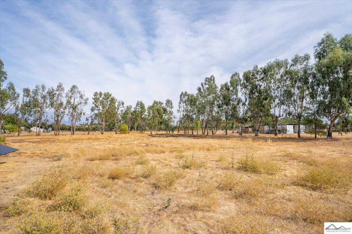 4480 East Street Corning, CA 96021 - Photo 65 of 72