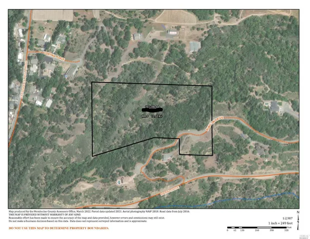 a black and white photo of a garden