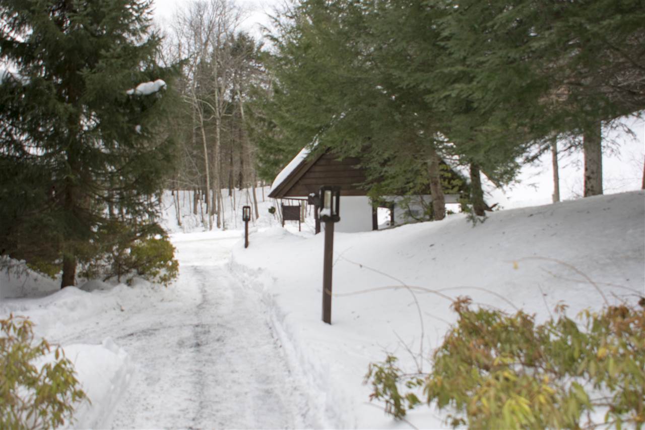 1 Pond View Road, Unit 1 Winhall, VT 05340 - Photo 3 of 18