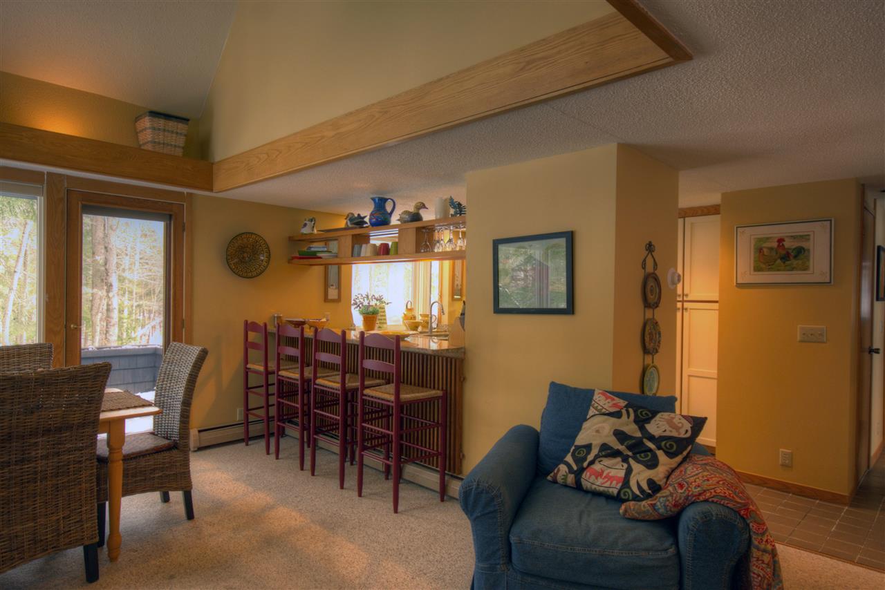 1 Pond View Road, Unit 1 Winhall, VT 05340 - Photo 8 of 18