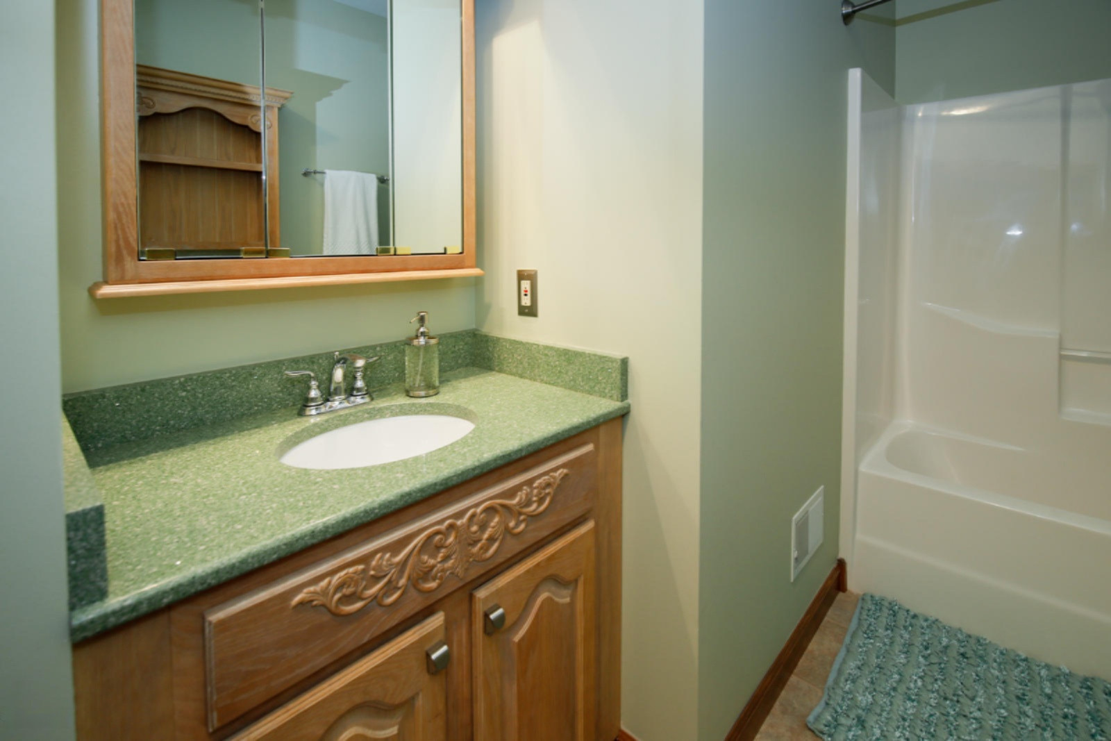 17161 Limberlost Road Three Rivers, MI 49093 - Photo 18 of 47 17161 Limberlost Rd-318