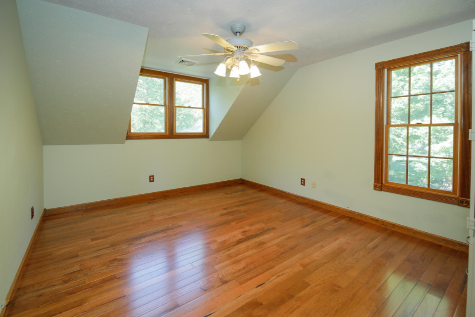 17161 Limberlost Road Three Rivers, MI 49093 - Photo 28 of 47 17161 Limberlost Rd-324