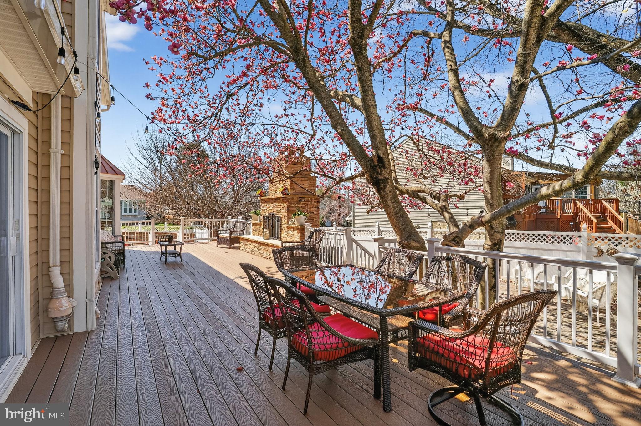 10272 Cedar Ridge Drive Manassas, VA 20110 - Photo 49 of 54