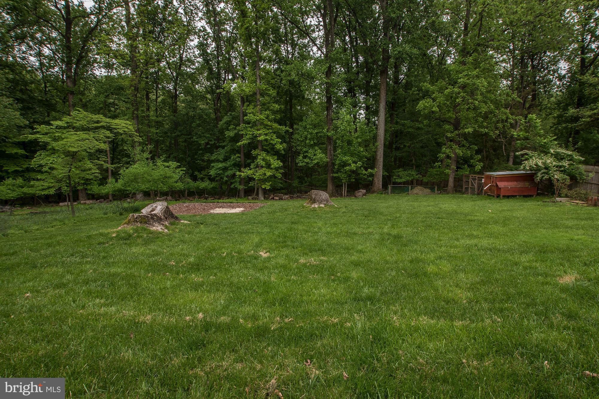 12825 Jingle Lane Silver Spring, MD 20906 - Photo 29 of 29 Yard is awesome! Backs to park! Privacy!!