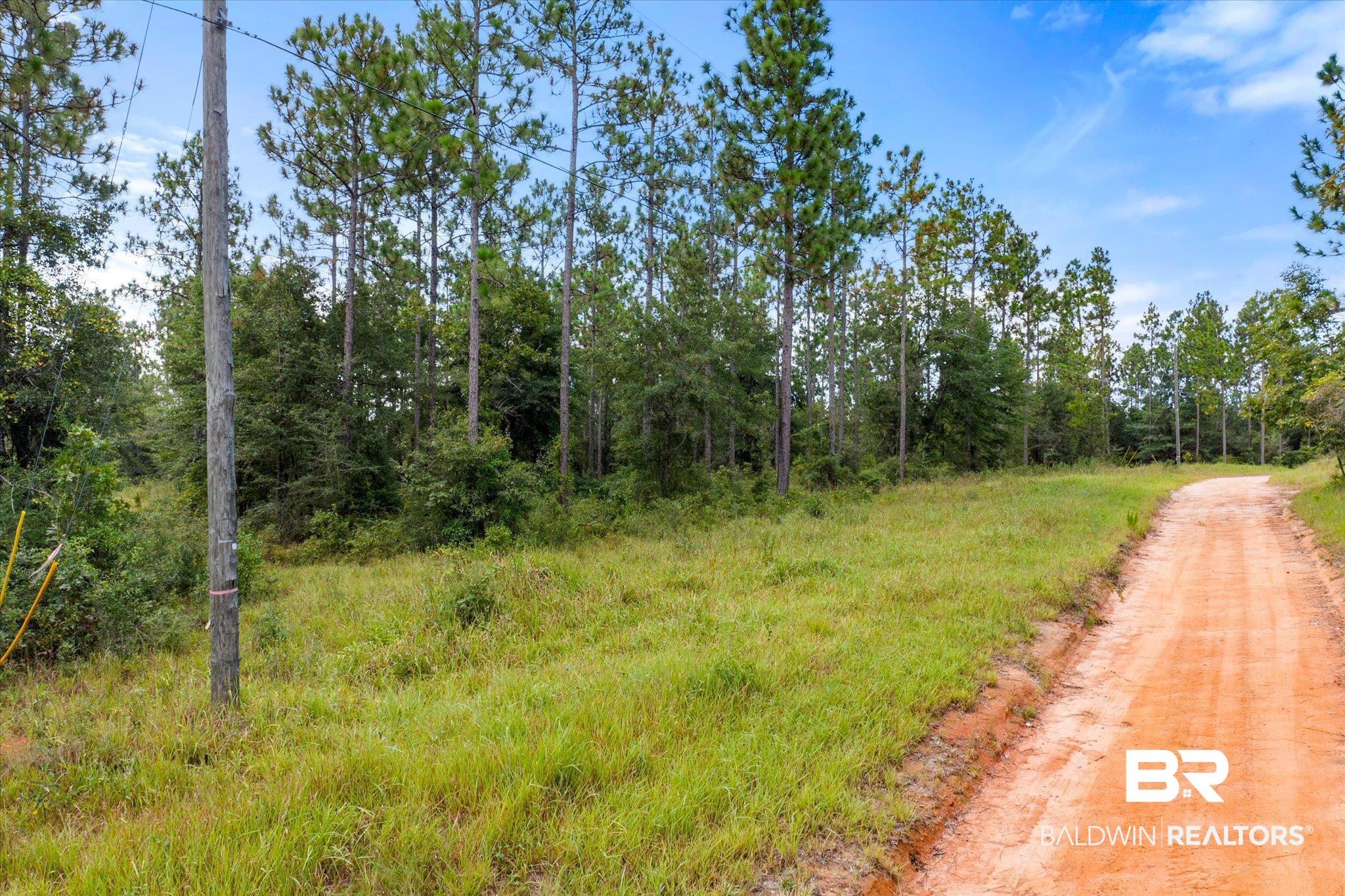 0 East Chunchula Highlands Road Chunchula, AL 36521 - Photo 3 of 18