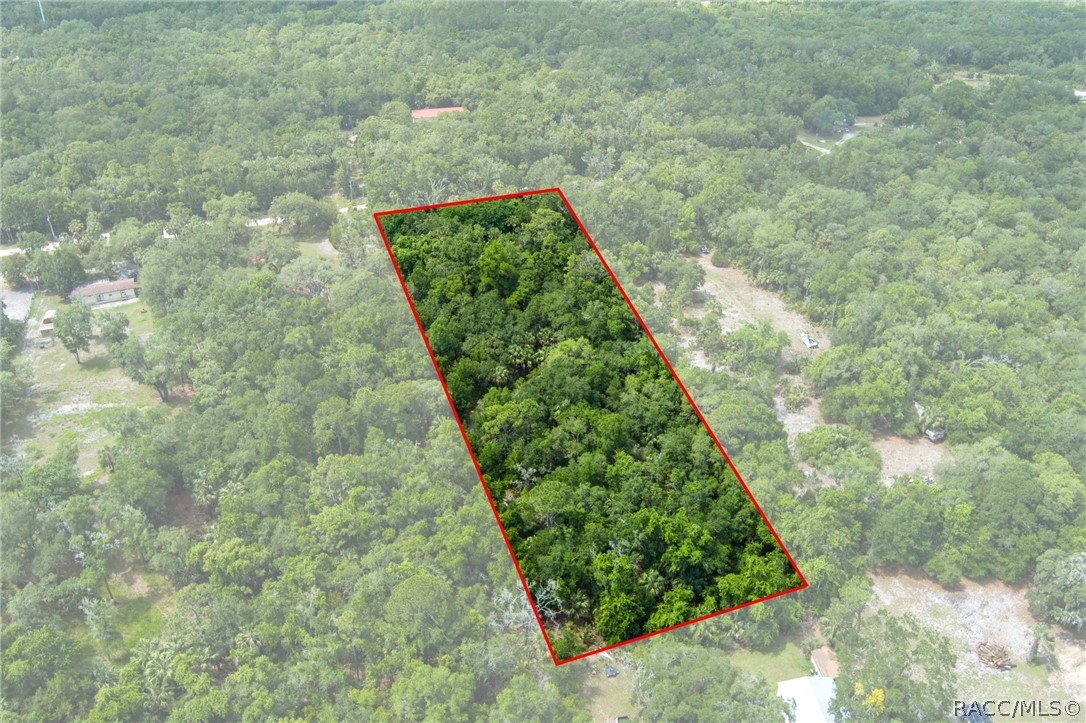 15085 West Rooster Crows Road Inglis, FL 34449 - Photo 11 of 16