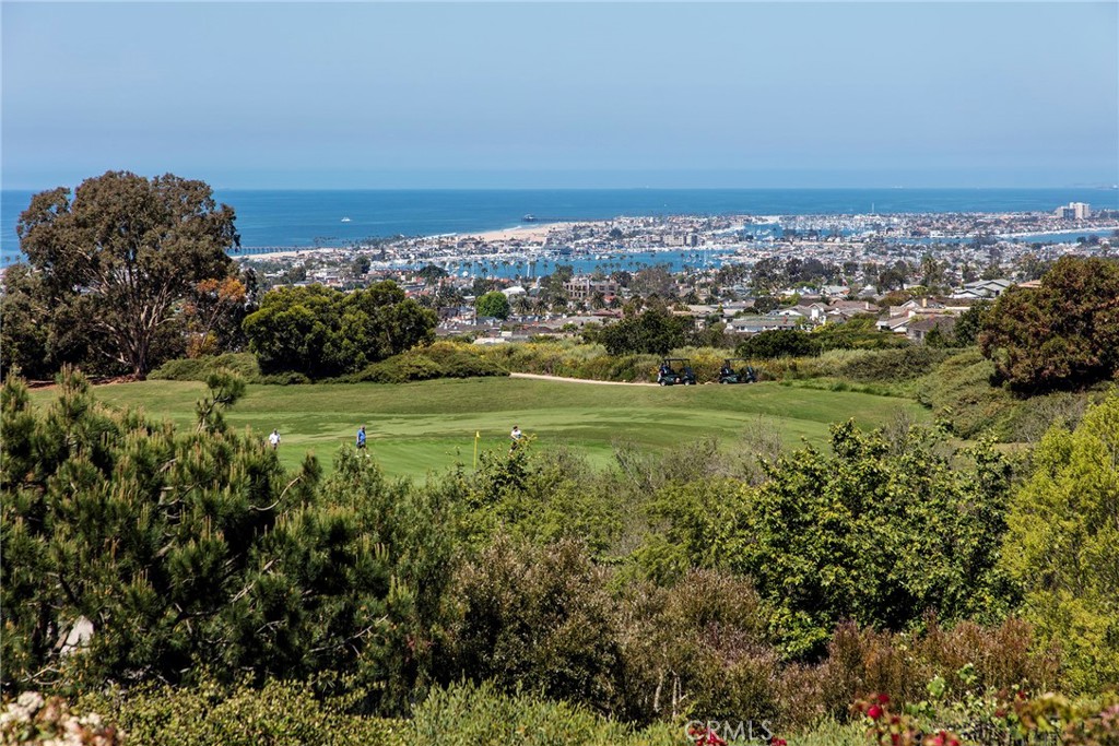 10 Fairway Point Newport Coast, CA 92657 - Photo 30 of 31 a view of a city