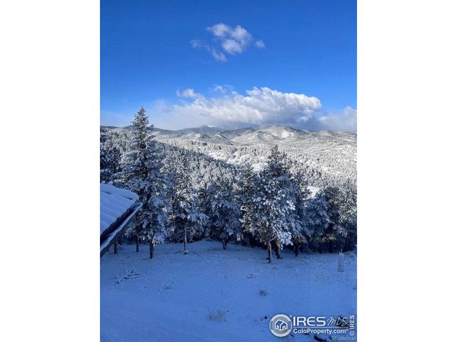 $2,699,000 | 290 Skyhill Drive, Evergreen, CO 80439