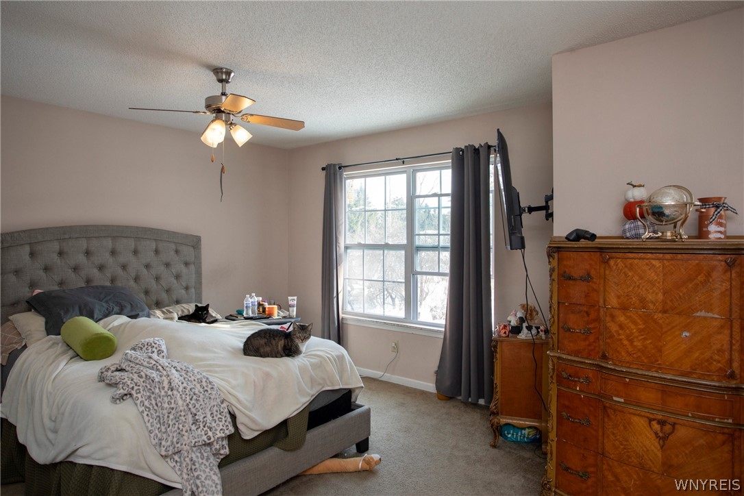 9422 Partridge Road Colden, NY 14033 - Photo 28 of 34