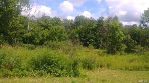 $489,900 | 9422 Partridge Road, Colden, NY 14033