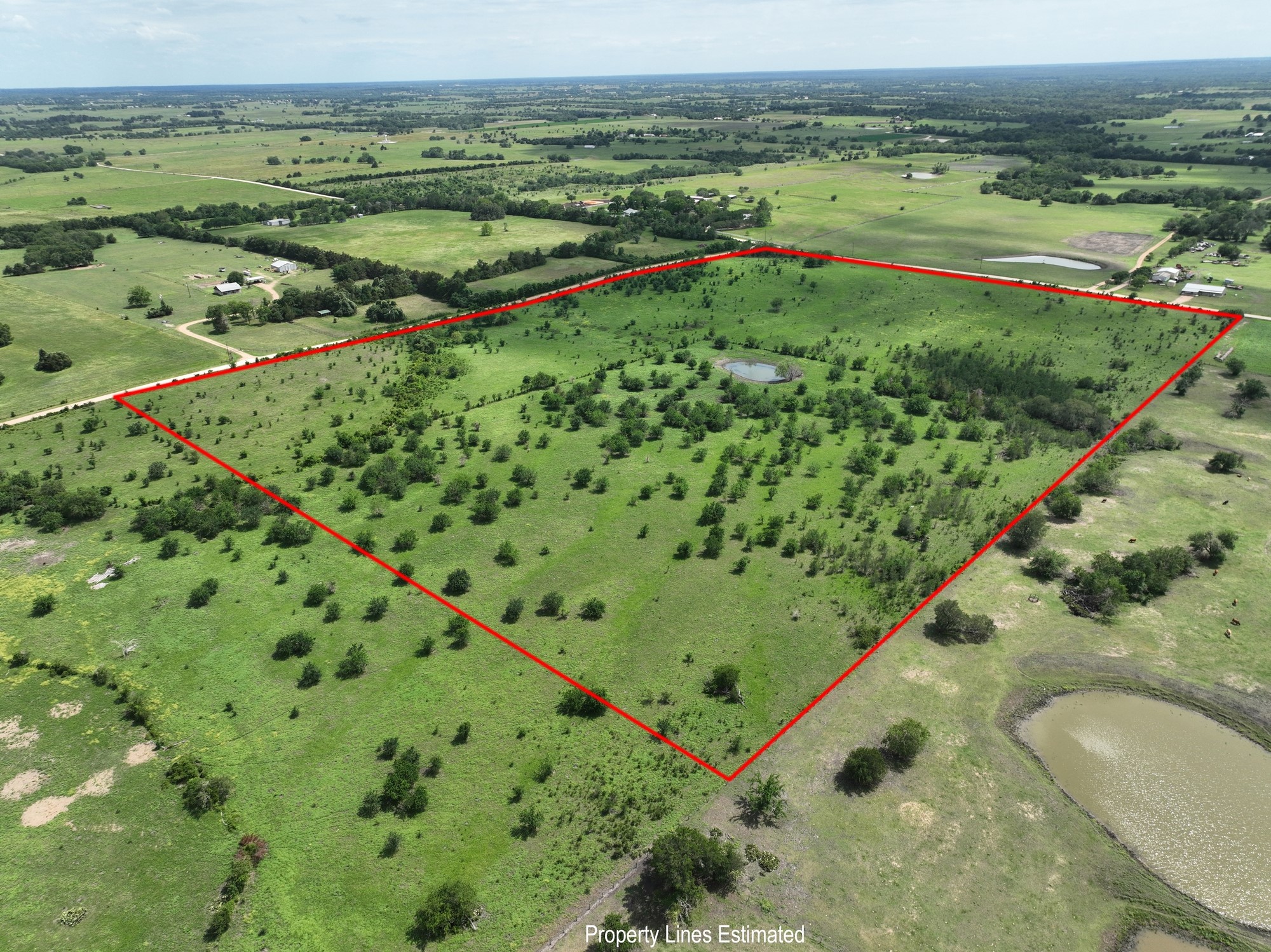0 School Road New Ulm, TX 78950 - Photo 4 of 13
