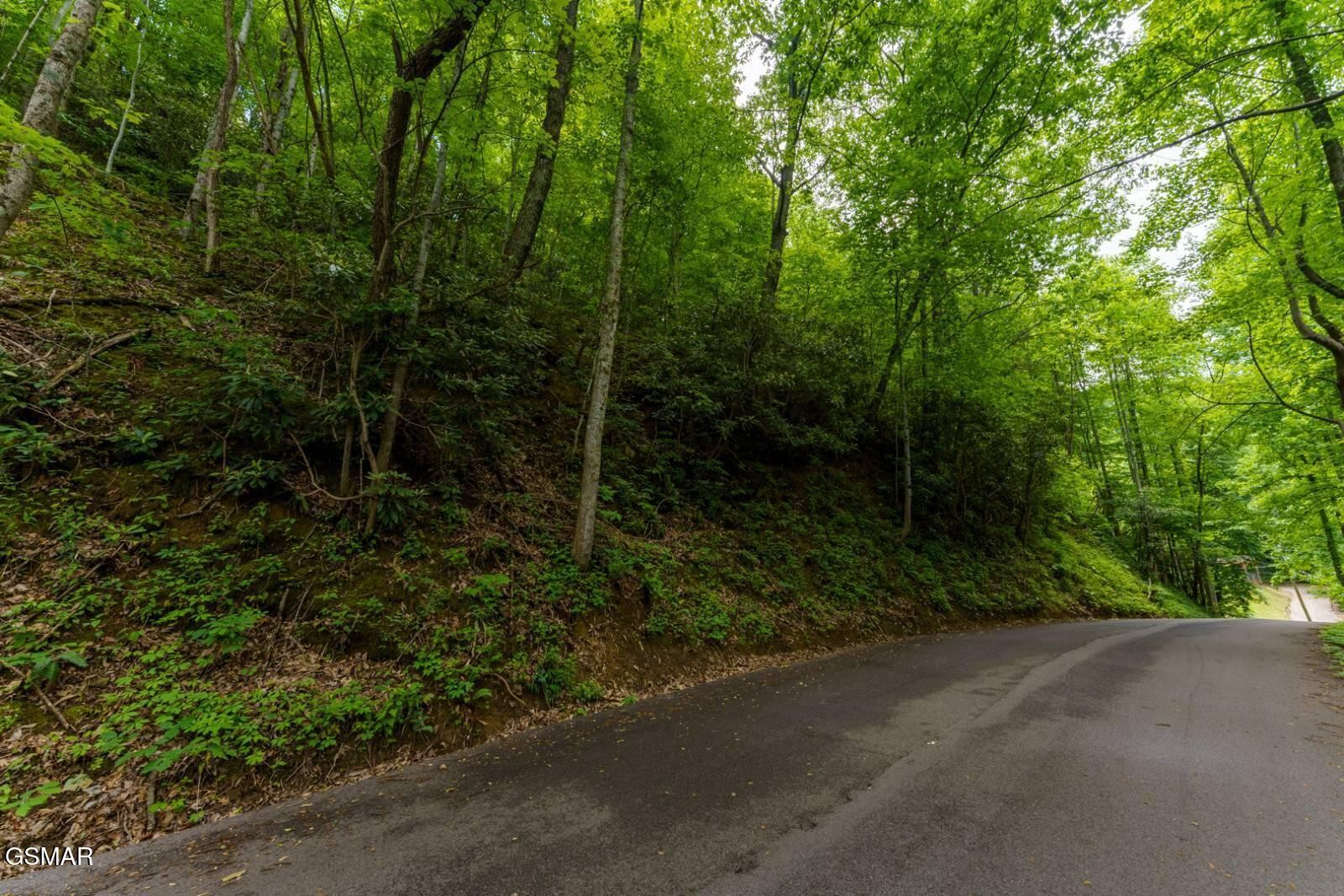 11 Zurich Road Gatlinburg, TN 37738 - Photo 3 of 14