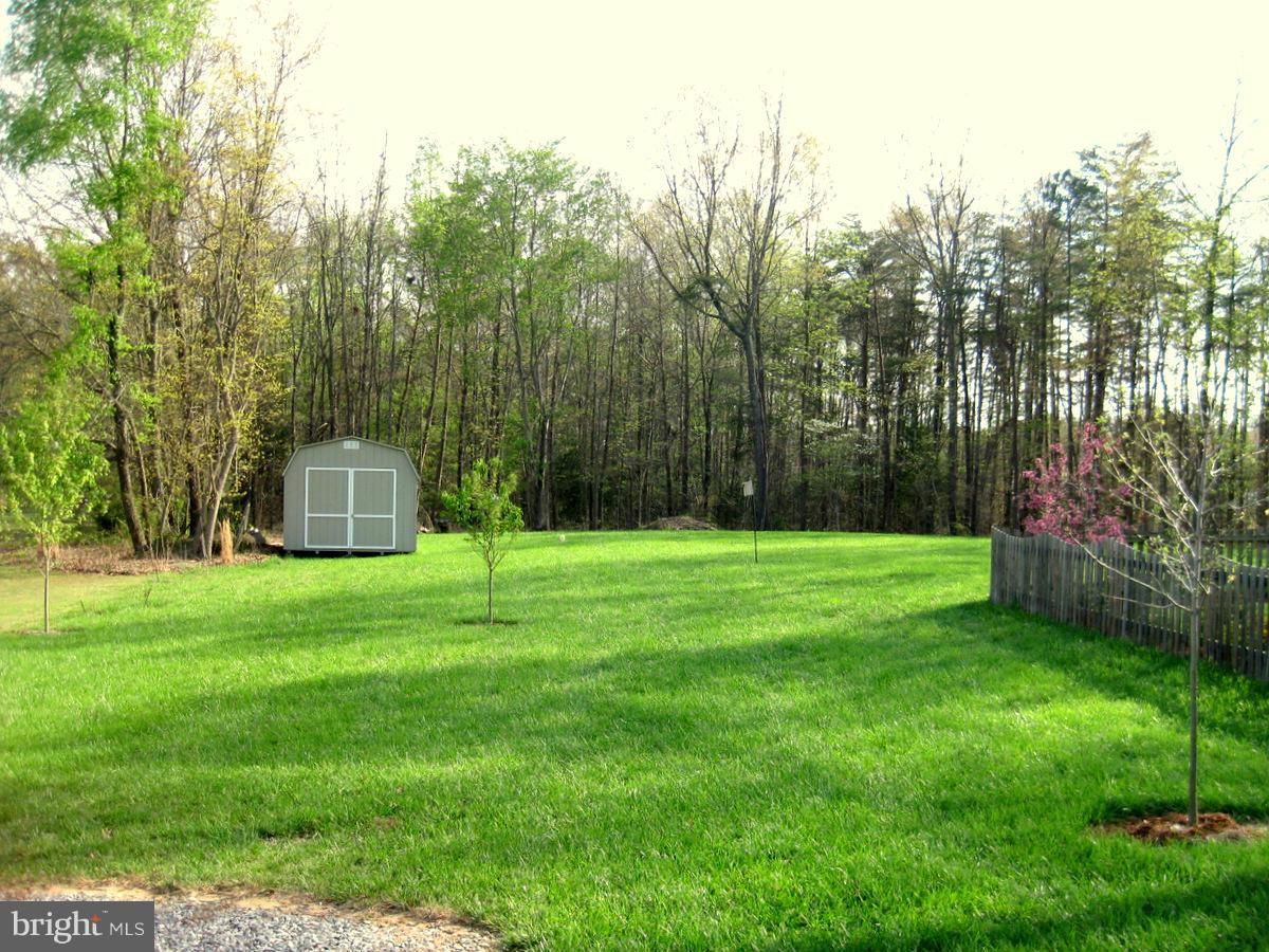 26282 Ruther Glen Road Ruther Glen, VA 22546 - Photo 22 of 30 Exterior (Rear)