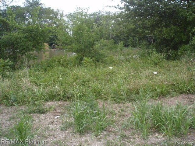 Vl Dixon Road Monroe, MI 48161 - Photo 12 of 13 P7180138