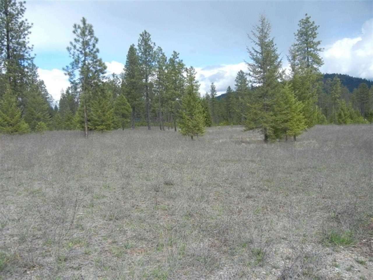 0 Lyon And Moss Road Loon Lake, WA 99148 - Photo 1 of 3 Gallery Image 1