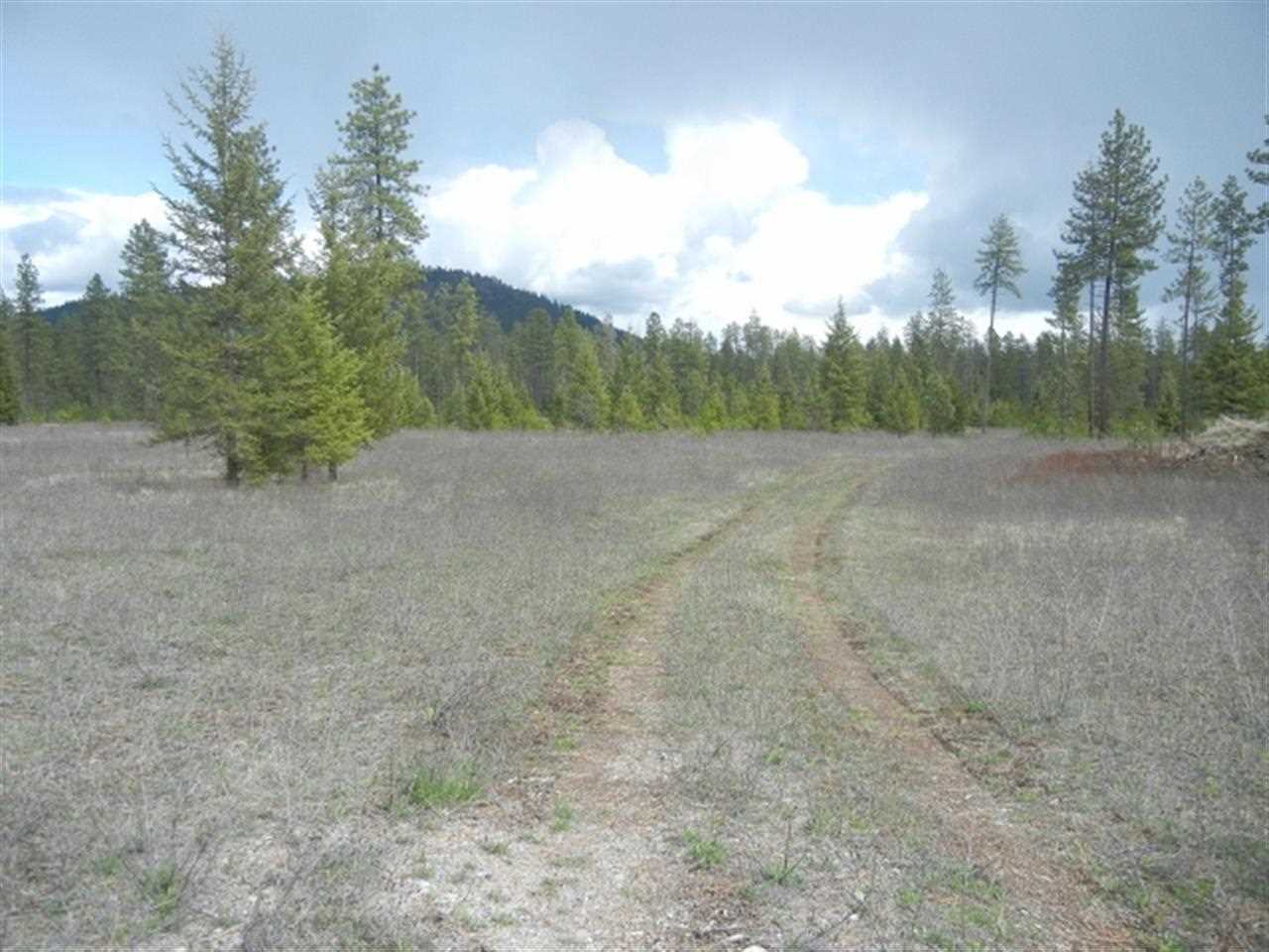 0 Lyon And Moss Road Loon Lake, WA 99148 - Photo 2 of 3 Gallery Image 2