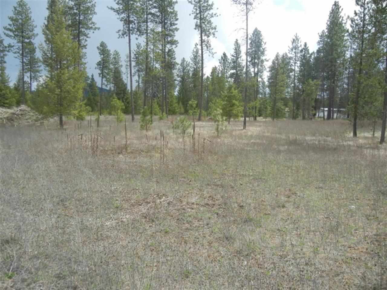 0 Lyon And Moss Road Loon Lake, WA 99148 - Photo 3 of 3 Gallery Image 3