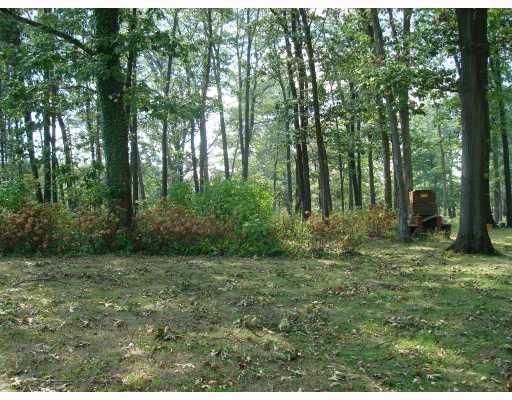 789 Mercer Road Butler, PA 16001 - Photo 3 of 18 Yard/Garden.
