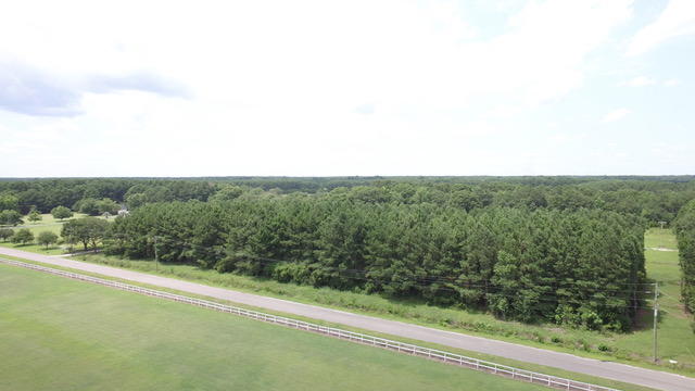 2610 Hamilton Road Johns Island, SC 29455 - Photo 1 of 19 HamPropPic