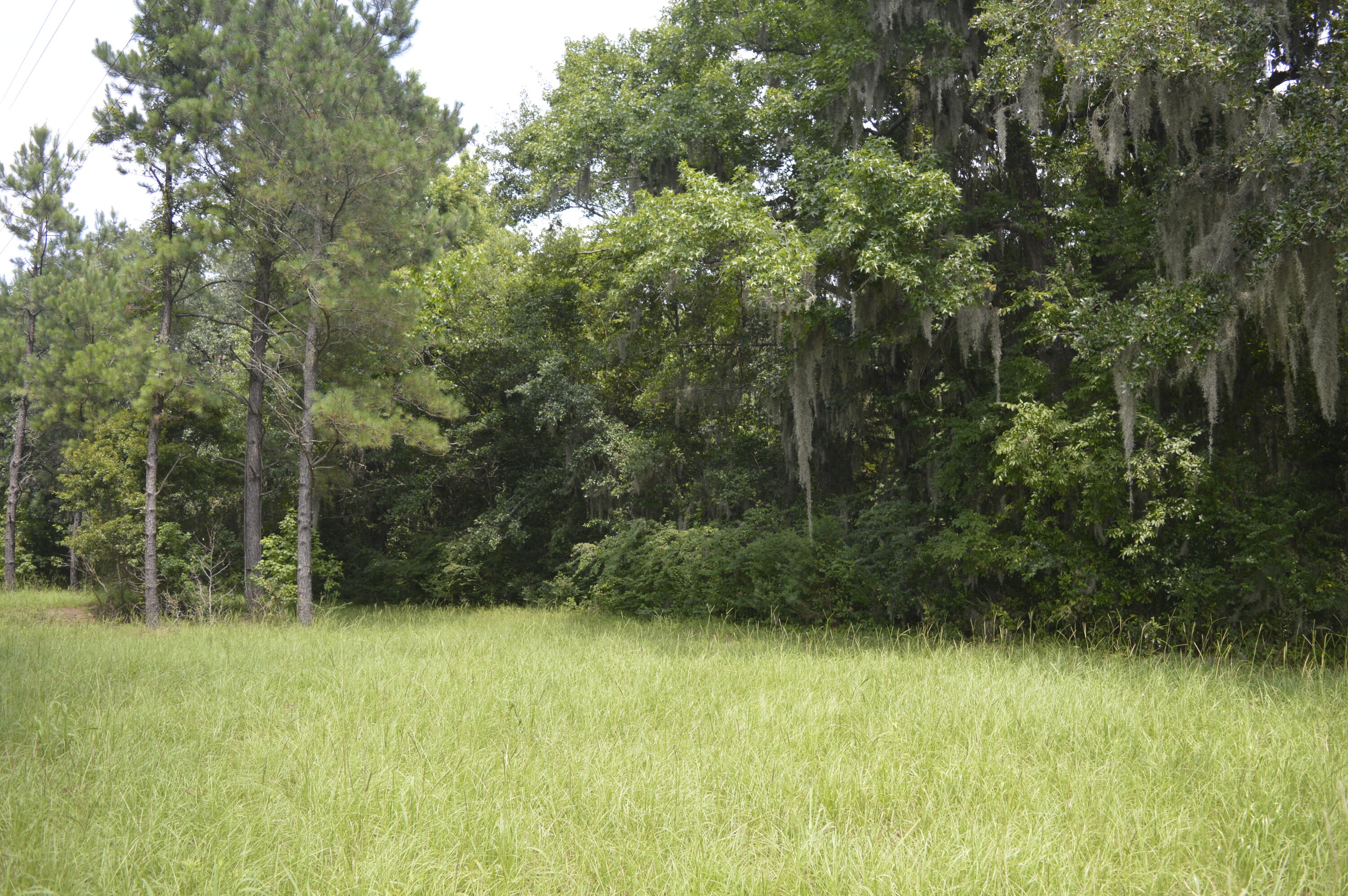 2610 Hamilton Road Johns Island, SC 29455 - Photo 11 of 19 _DSC0046