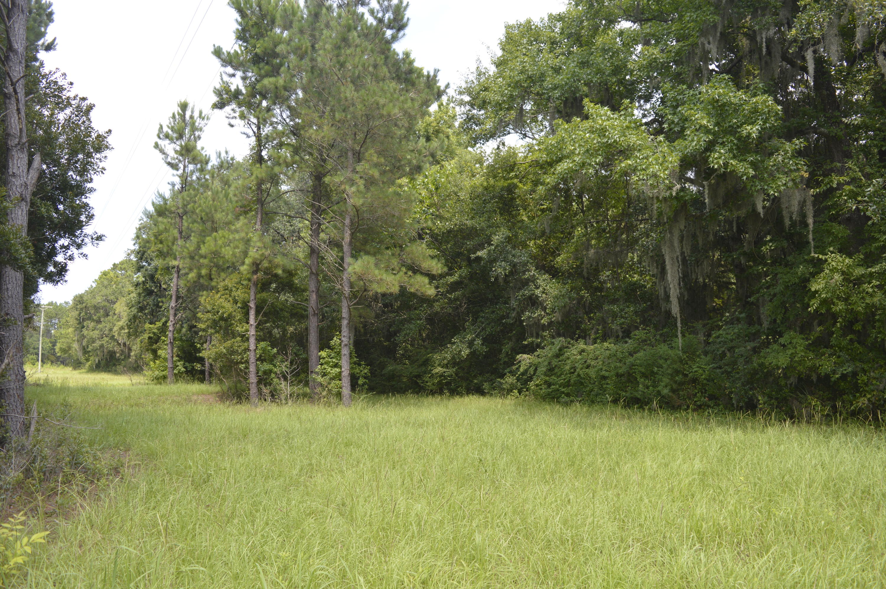 2610 Hamilton Road Johns Island, SC 29455 - Photo 12 of 19 _DSC0047