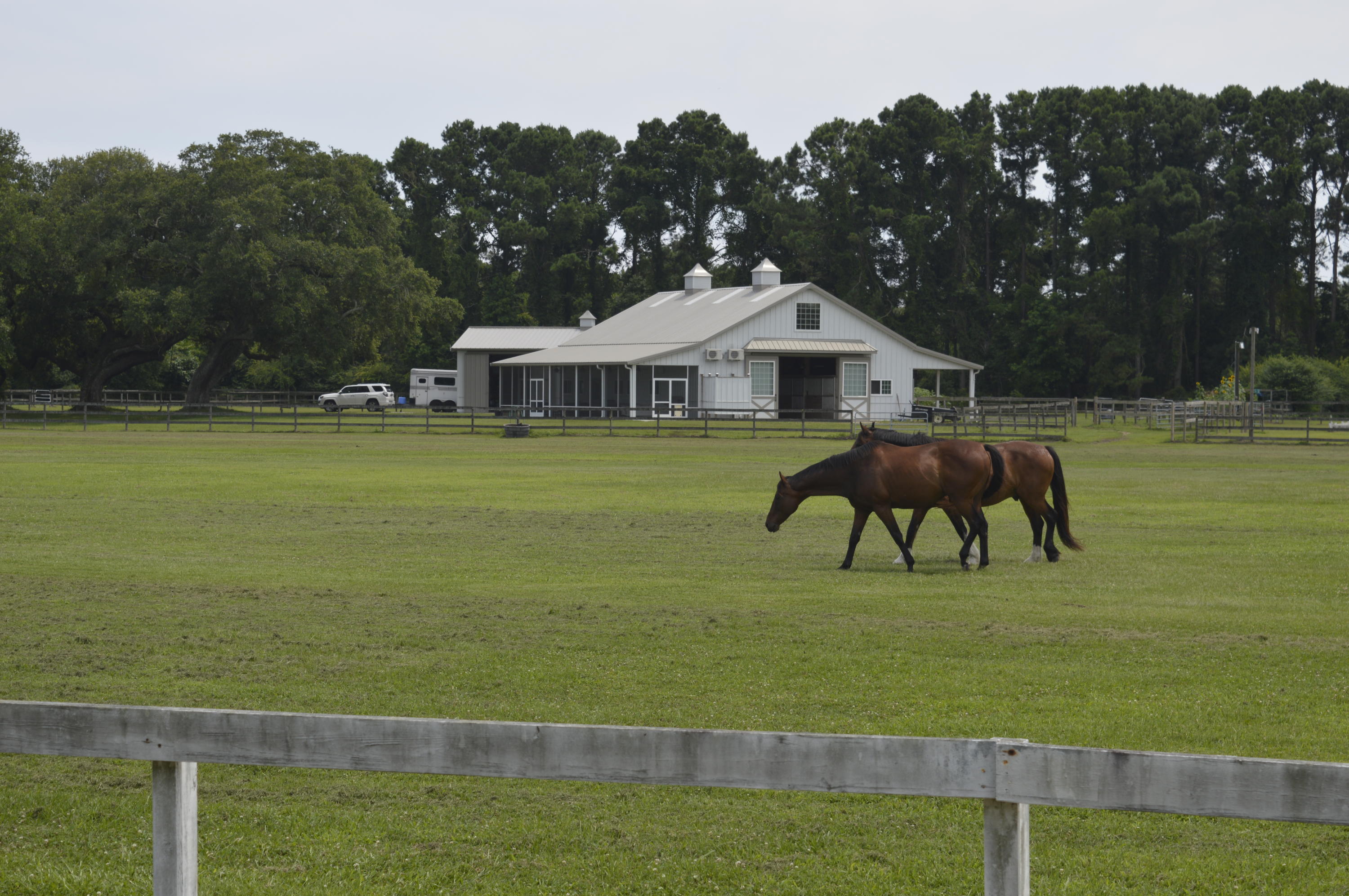 2610 Hamilton Road Johns Island, SC 29455 - Photo 16 of 19 _DSC0050