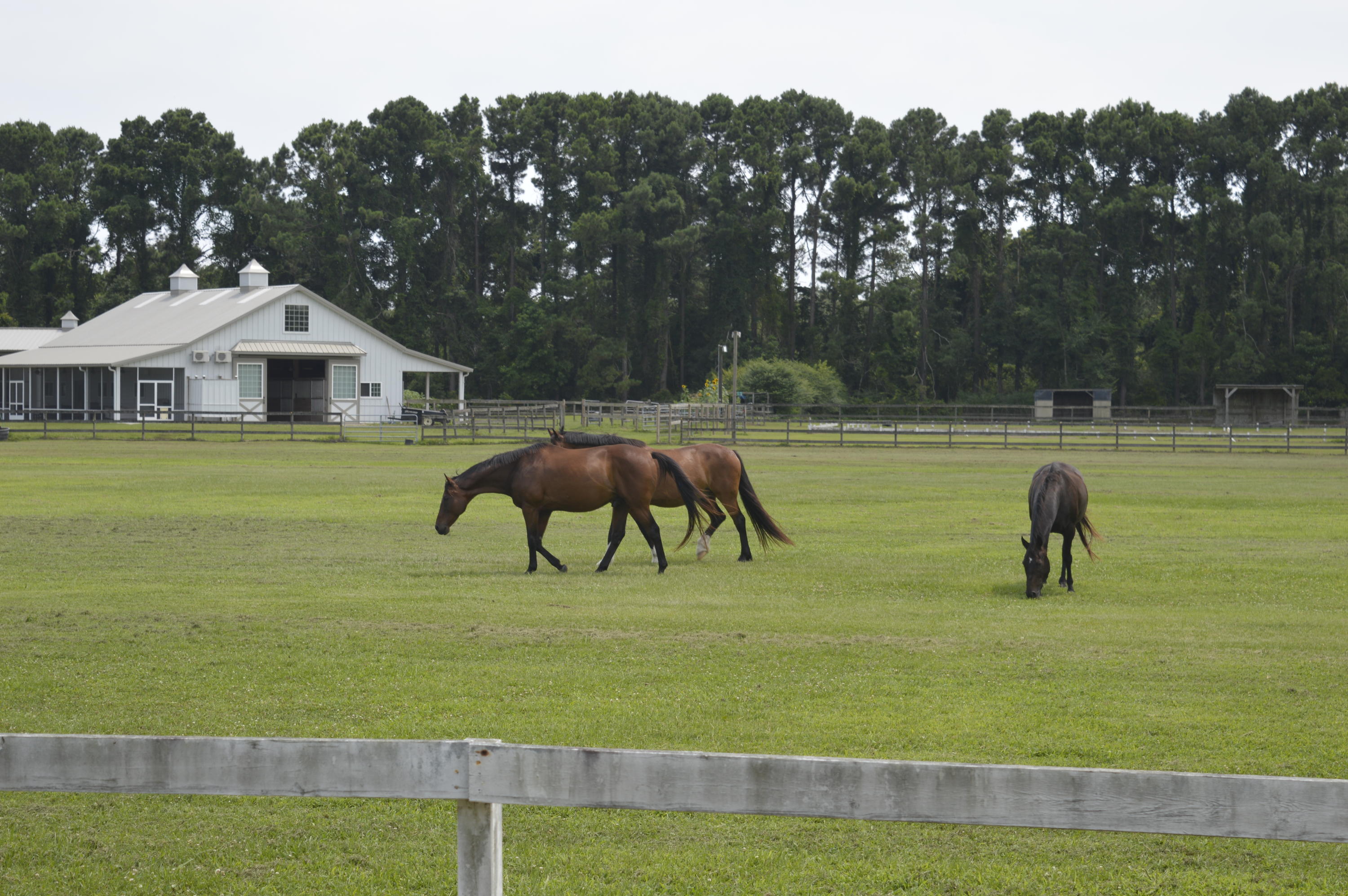 2610 Hamilton Road Johns Island, SC 29455 - Photo 19 of 19 _DSC0049