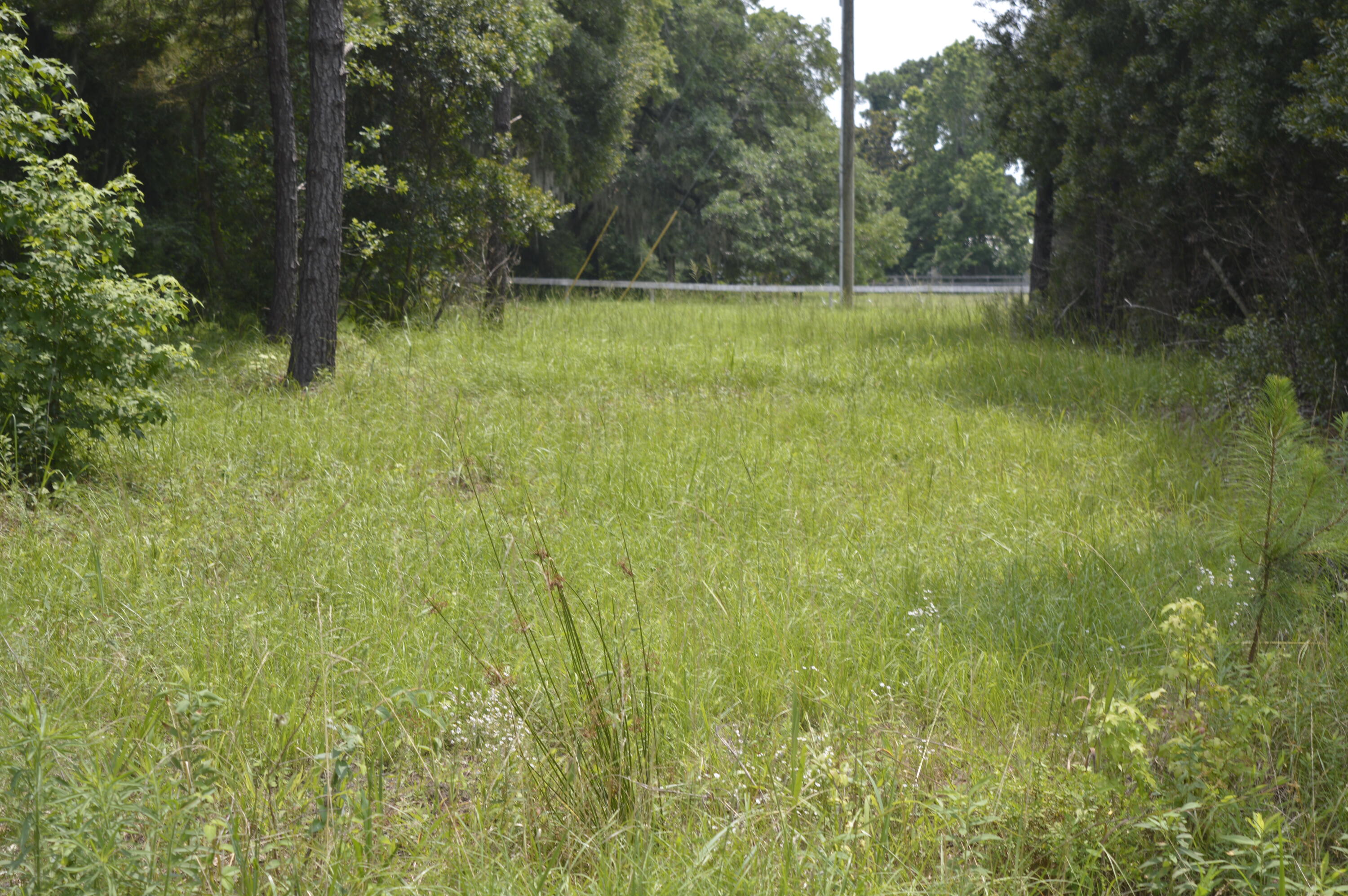 2610 Hamilton Road Johns Island, SC 29455 - Photo 4 of 19 _DSC0030