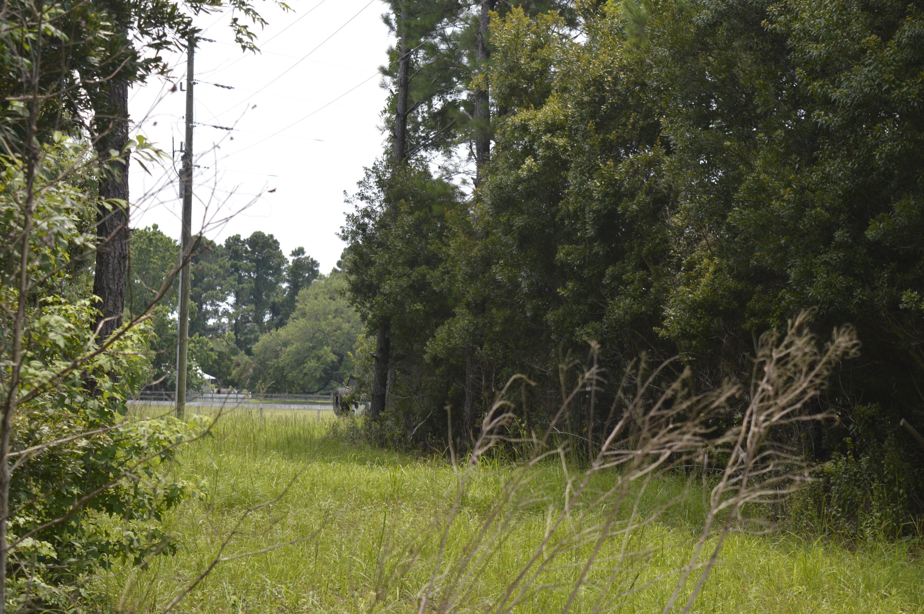2610 Hamilton Road Johns Island, SC 29455 - Photo 6 of 19 _DSC0034