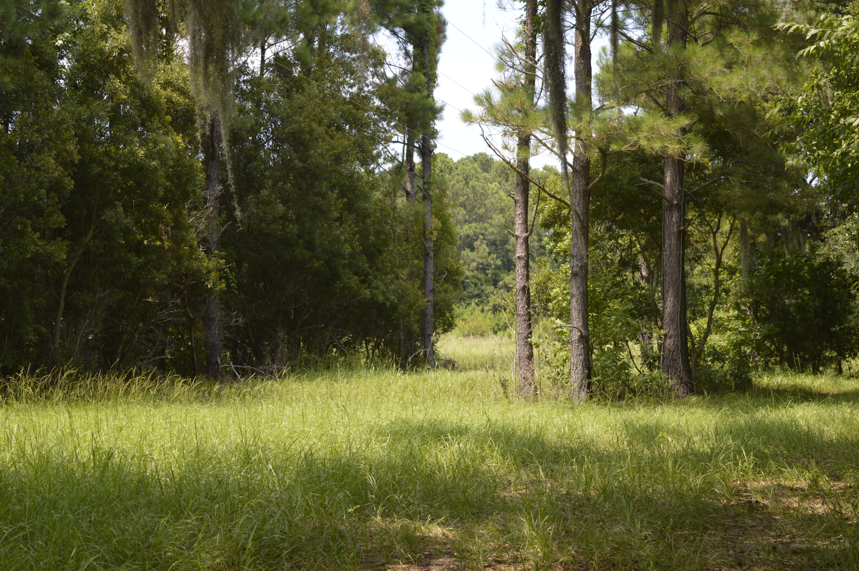2610 Hamilton Road Johns Island, SC 29455 - Photo 7 of 19 _DSC0040