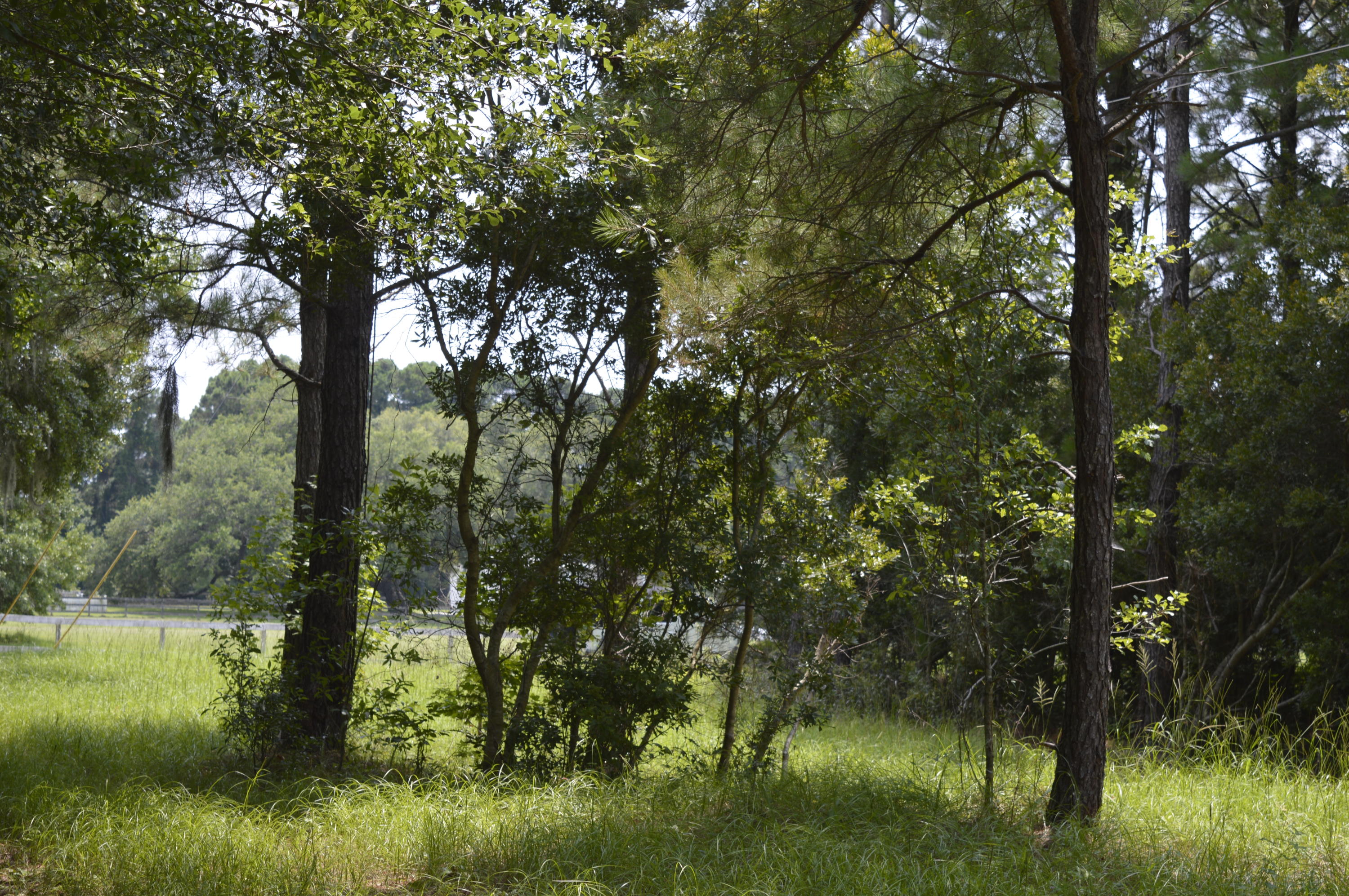 2610 Hamilton Road Johns Island, SC 29455 - Photo 8 of 19 _DSC0036
