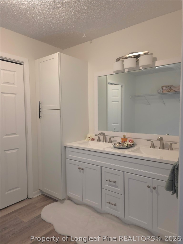 5945 Muscat Road Hope Mills, NC 28348 - Photo 22 of 36 a bathroom with a sink and a mirror
