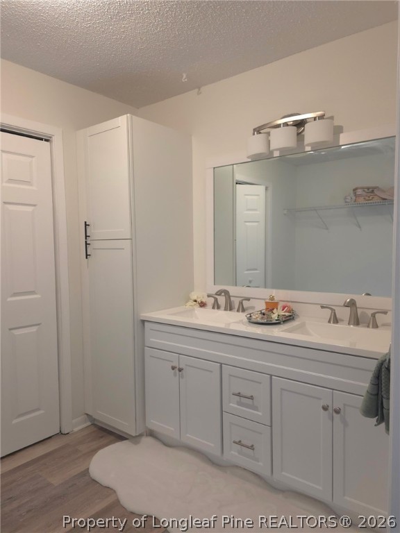 5945 Muscat Road Hope Mills, NC 28348 - Photo 23 of 31 Main bedroom vanities