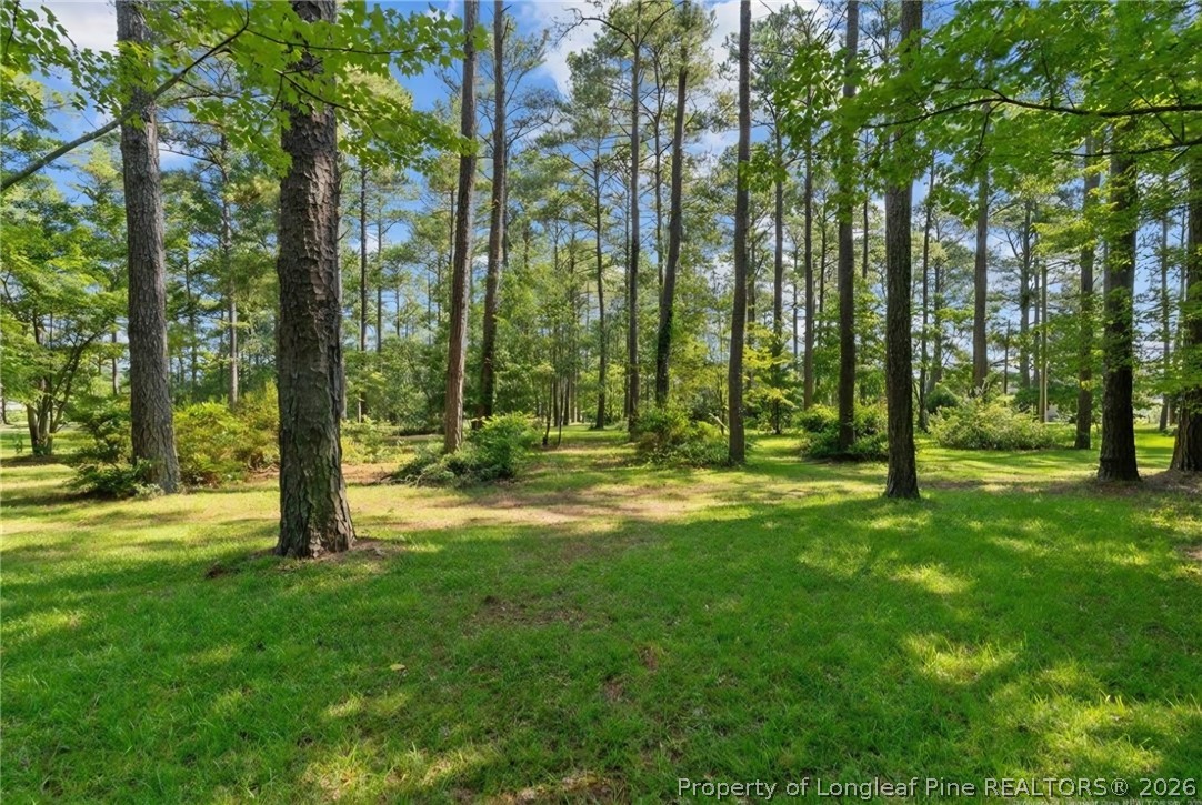 5945 Muscat Road Hope Mills, NC 28348 - Photo 25 of 36 a view of outdoor space and yard