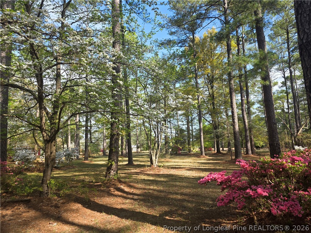 5945 Muscat Road Hope Mills, NC 28348 - Photo 33 of 36 a view of yard with tree